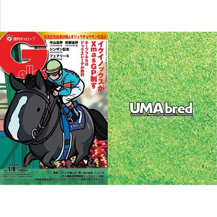 クリアファイル(Gallopコラボ) 2枚セット