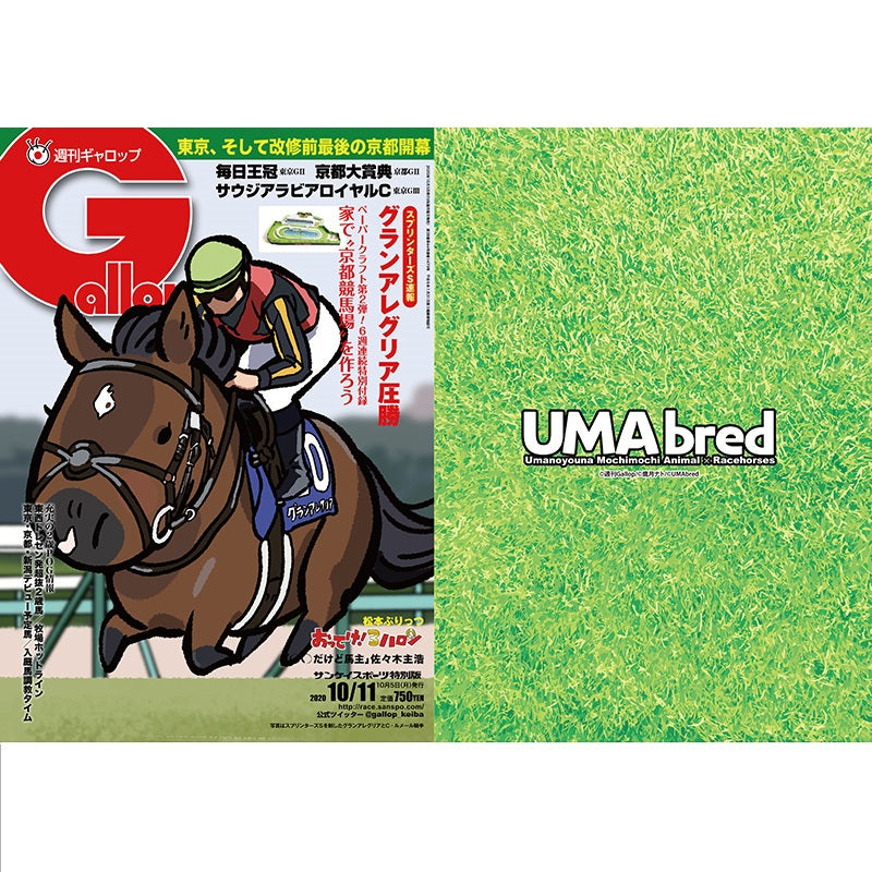 クリアファイル(Gallopコラボ) 2枚セット