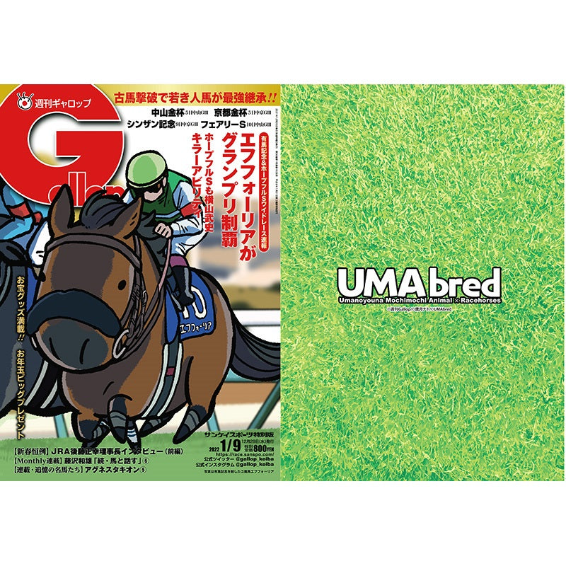 クリアファイル(Gallopコラボ) 2枚セット