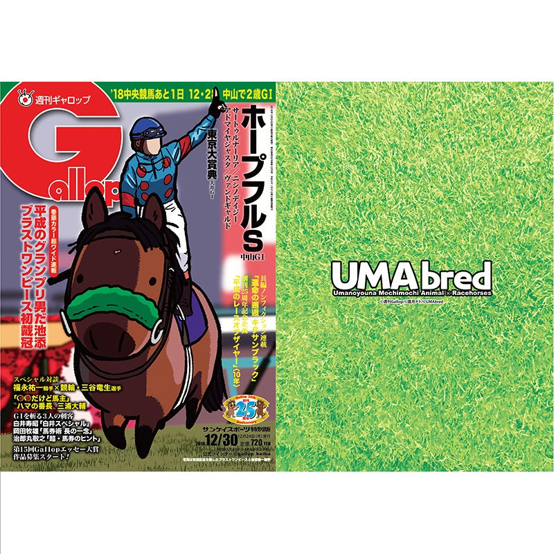 クリアファイル(Gallopコラボ) 2枚セット