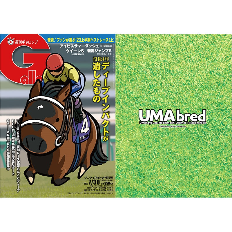 クリアファイル(Gallopコラボ) 2枚セット