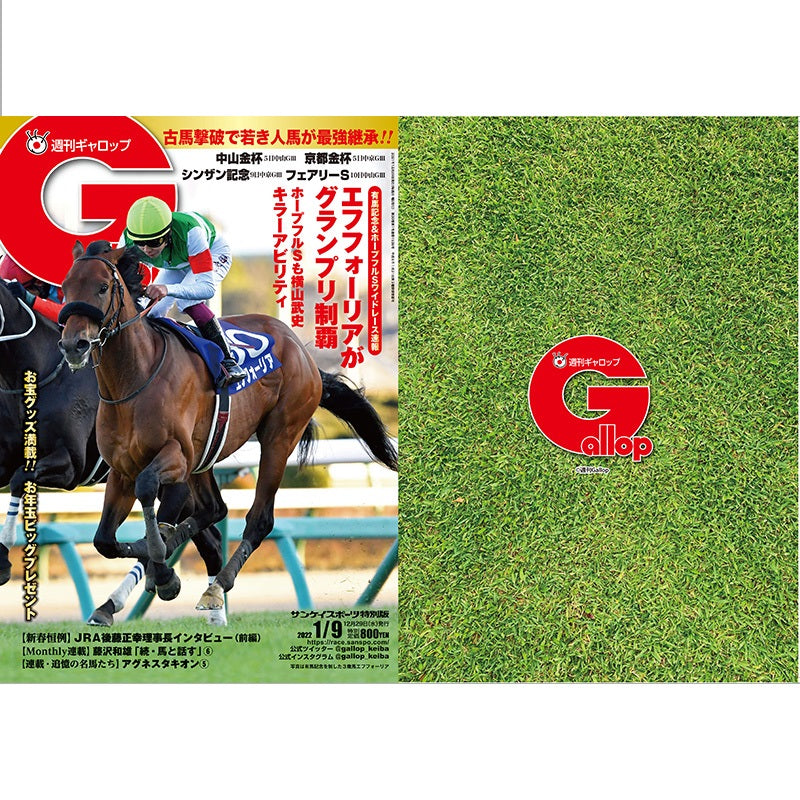 クリアファイル(Gallopコラボ) 2枚セット