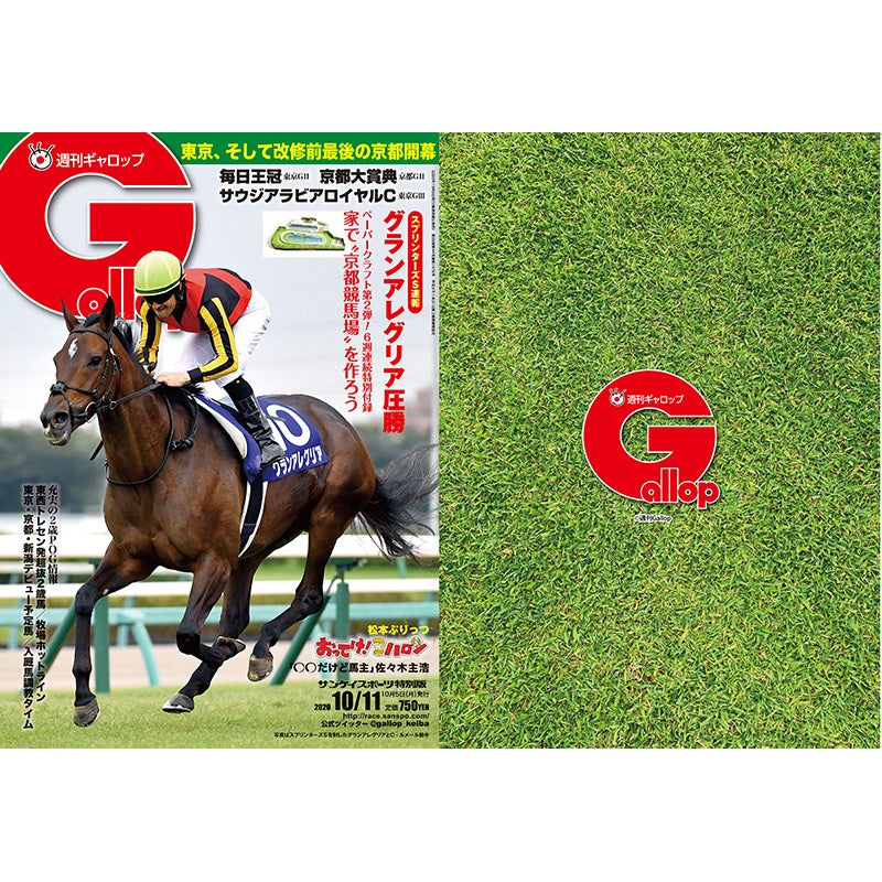 クリアファイル(Gallopコラボ) 2枚セット
