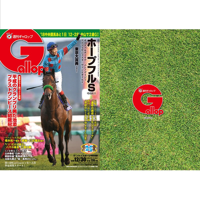 クリアファイル(Gallopコラボ) 2枚セット