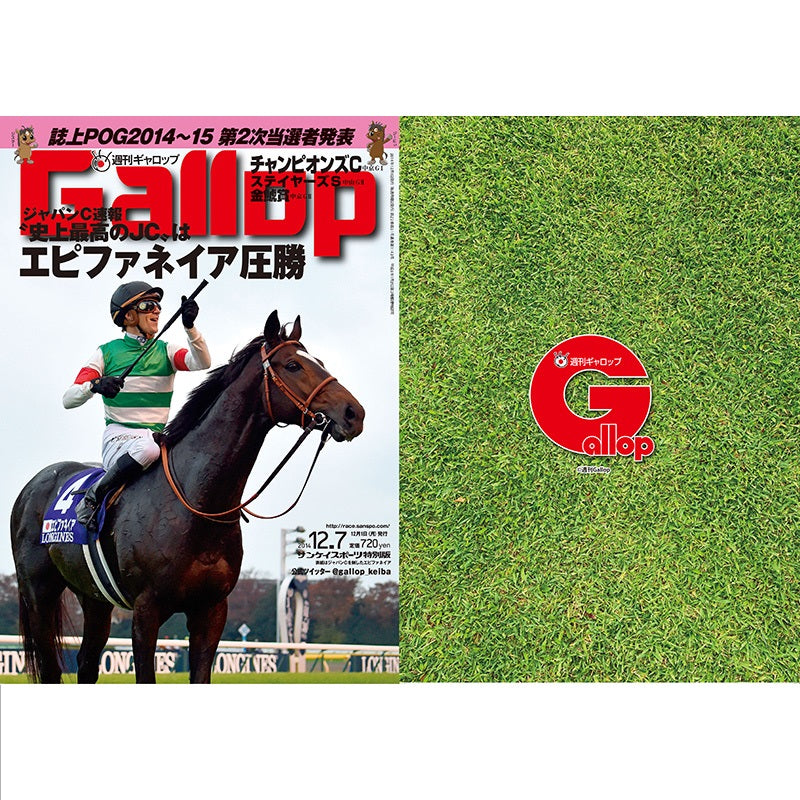 クリアファイル(Gallopコラボ) 2枚セット