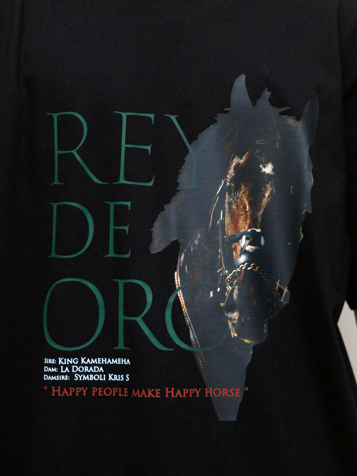 レイデオロ・Tシャツ