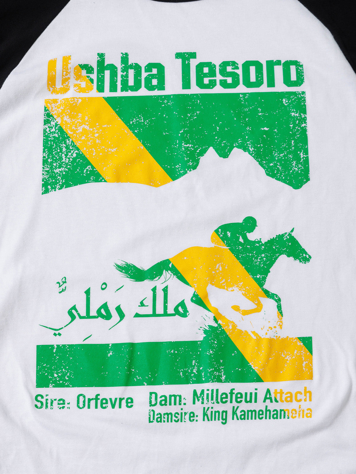 ウシュバテソーロ・ロングスリーブTシャツ