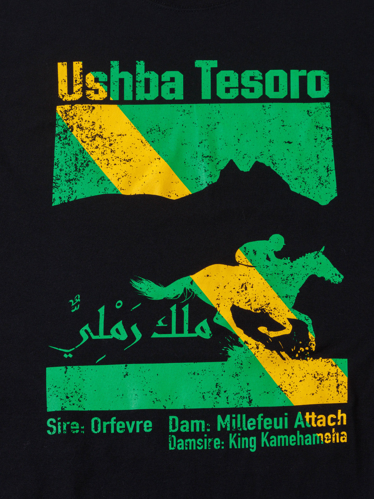 ウシュバテソーロ・Tシャツ