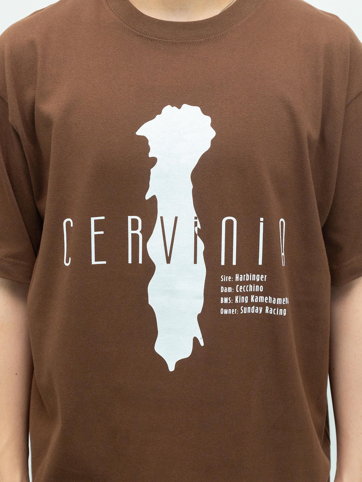 チェルヴィニア・Tシャツ(ブラウン)
