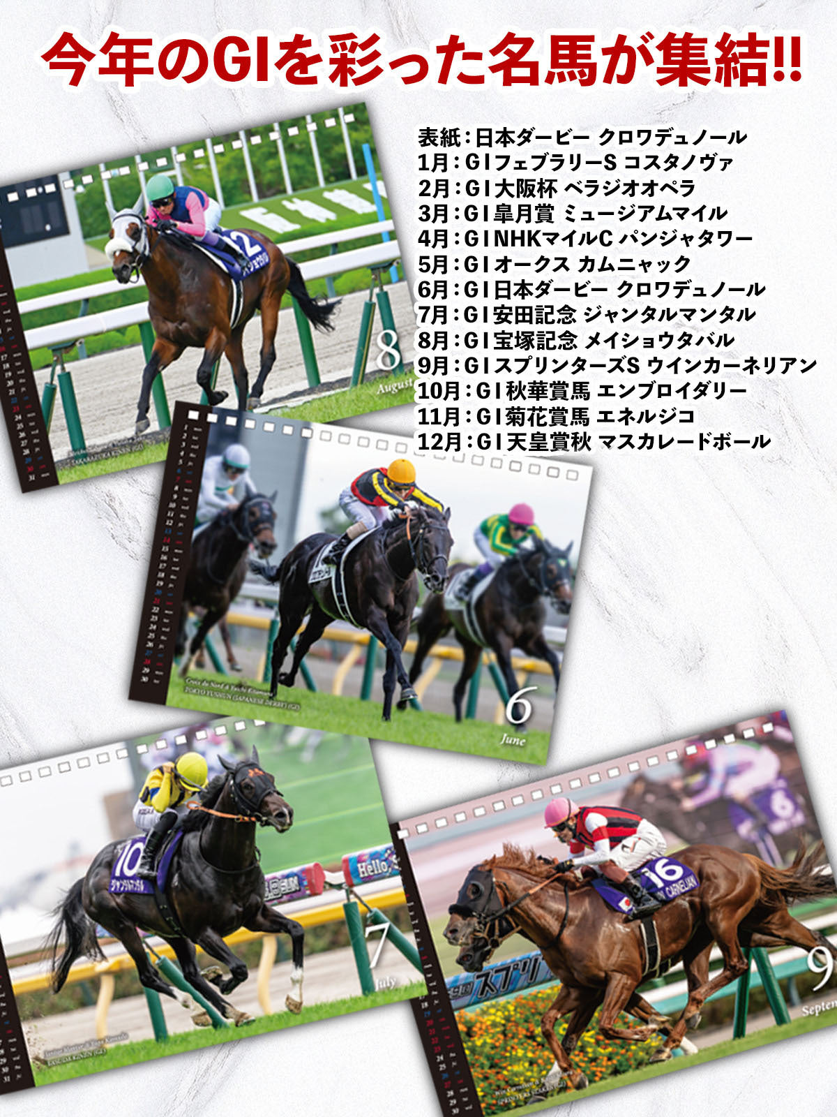 【中央/地方/海外の主要レース記載!】2026 netkeibaカレンダー