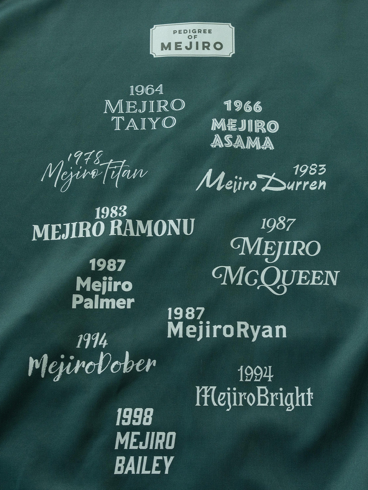 Teamメジロ・ジャージ