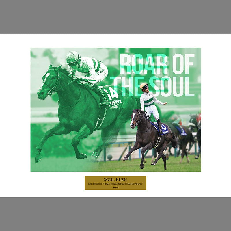 ソウルラッシュ・オリジナル写真パネル