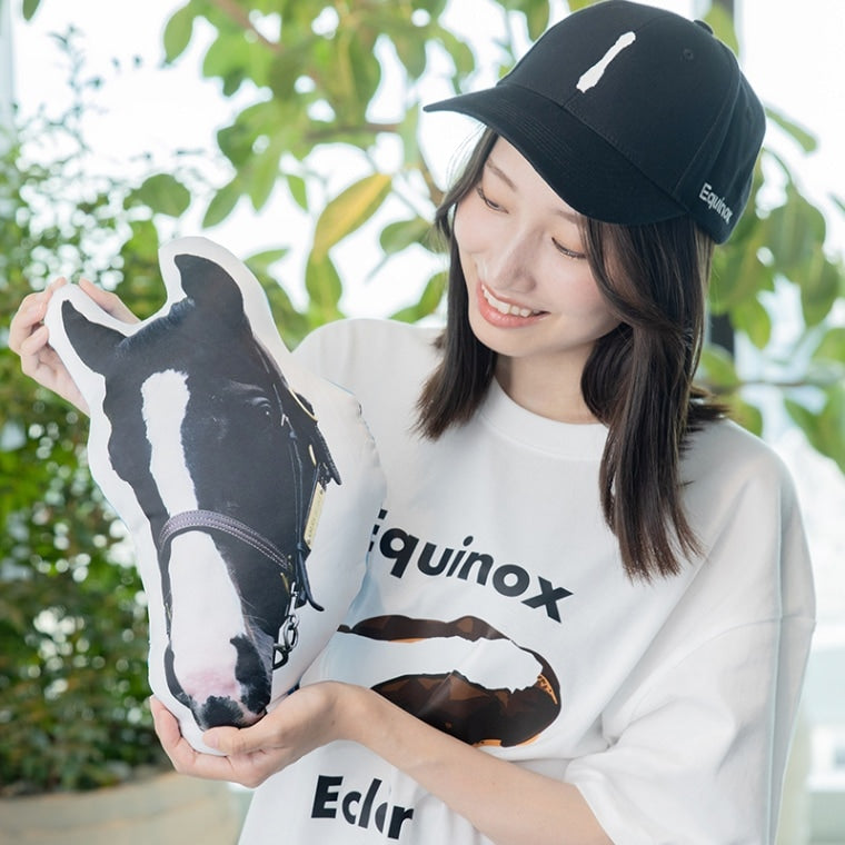 イクイノックス・クッション｜netkeiba