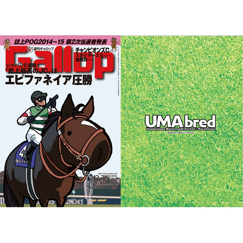 クリアファイル(Gallopコラボ) 2枚セット