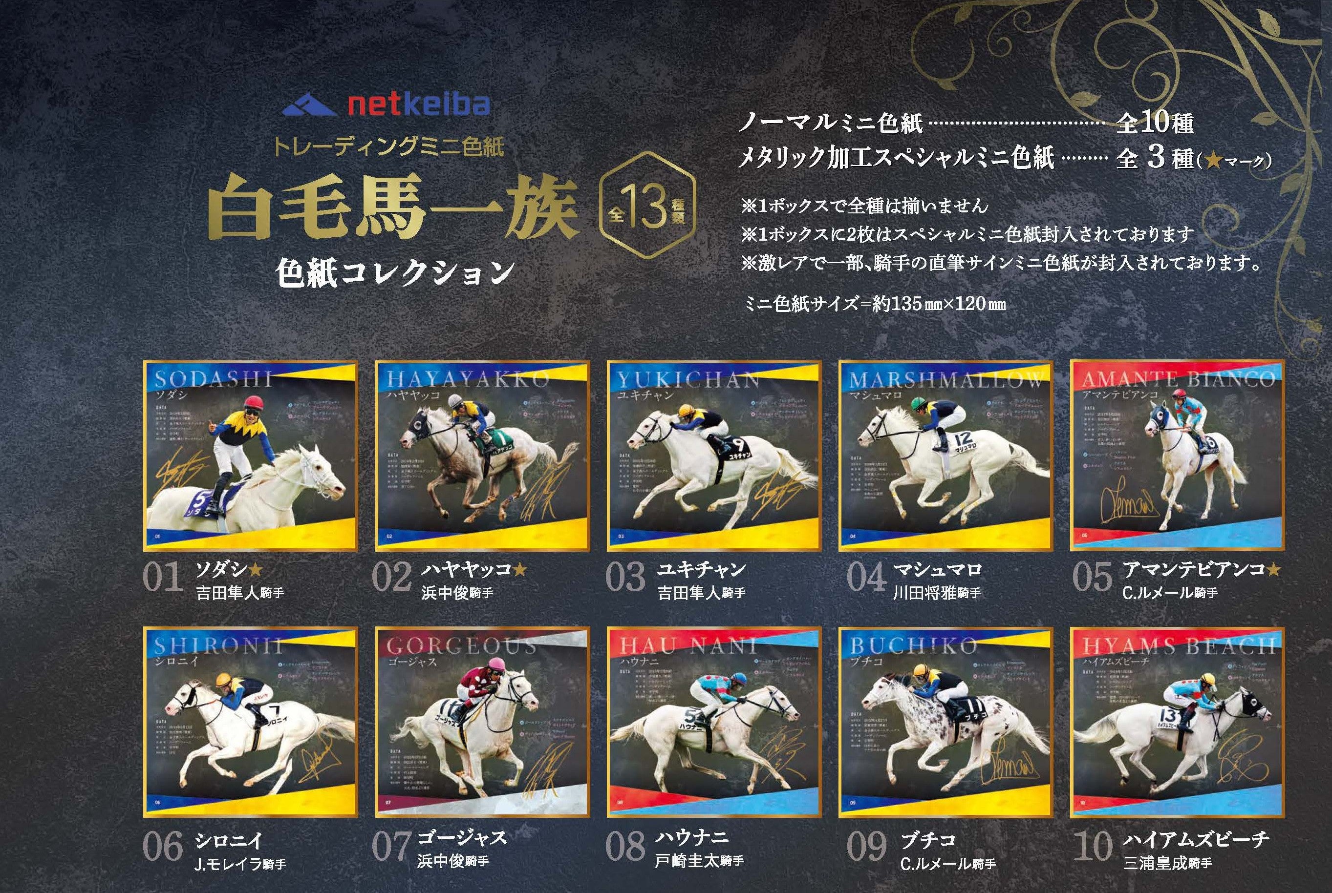 白毛馬一族色紙コレクションBOX