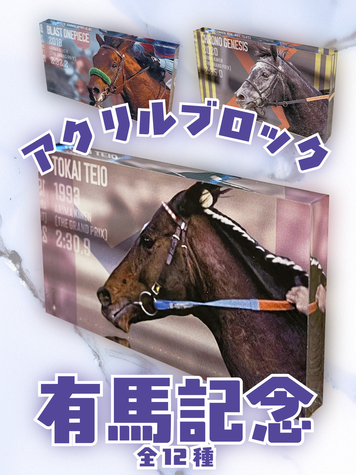 有馬記念アクリルブロック(ランダム全12種)