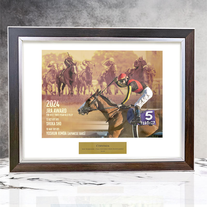 タイトルホルダーセット　シリアル番号つき写真パネル タイトルホルダーセット シリアル番号つき写真パネル タイトル