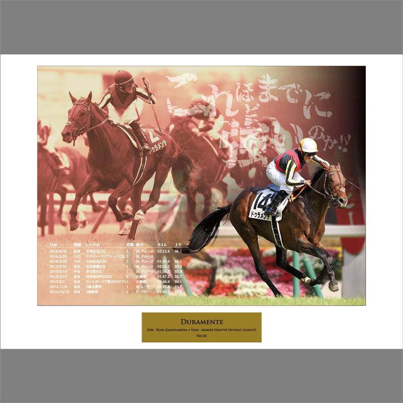 ドゥラメンテ･オリジナル写真パネル