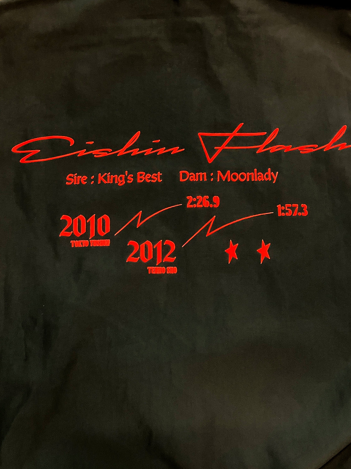 エイシンフラッシュ･ブルゾン