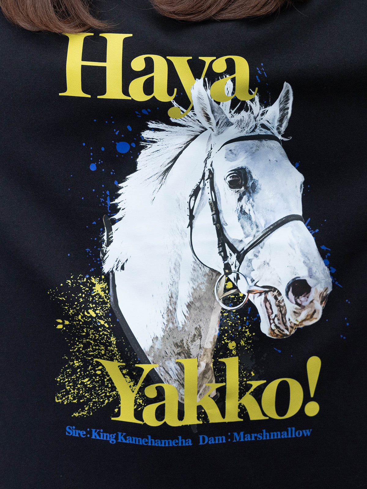 ハヤヤッコ･TシャツA