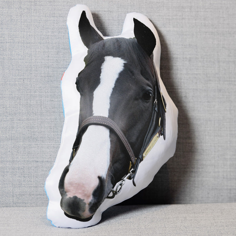 イクイノックス・クッション｜netkeiba