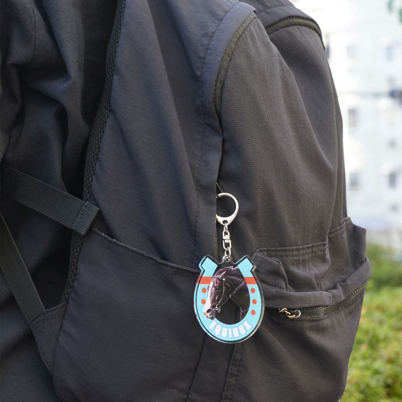 イクイノックス アクリルキーホルダー 名馬烈伝 アクリルキーホルダー（1）イクイノックス｜郵便局の