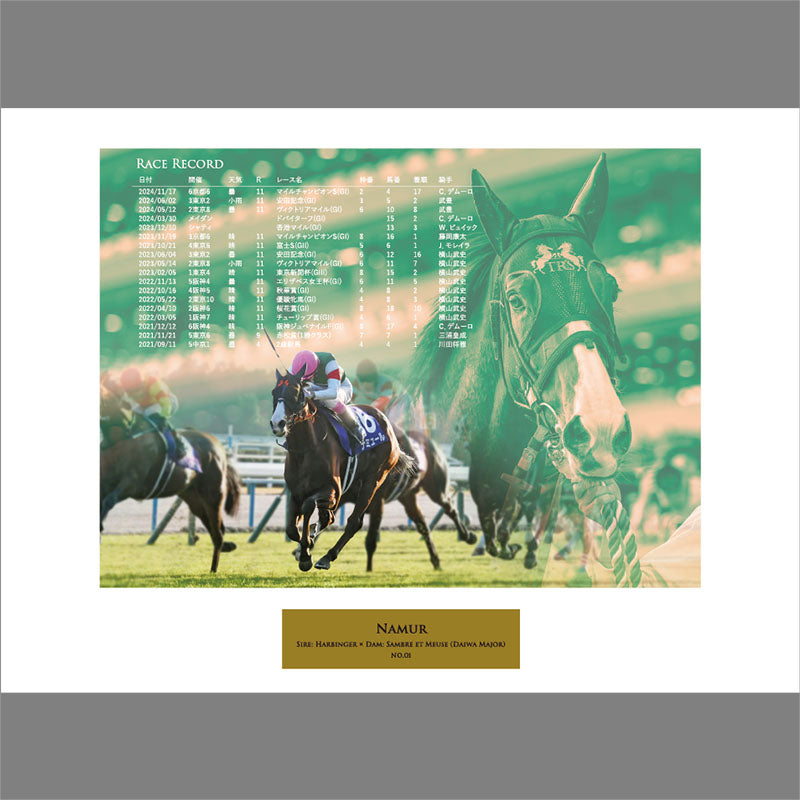 ナミュール･オリジナル写真パネル