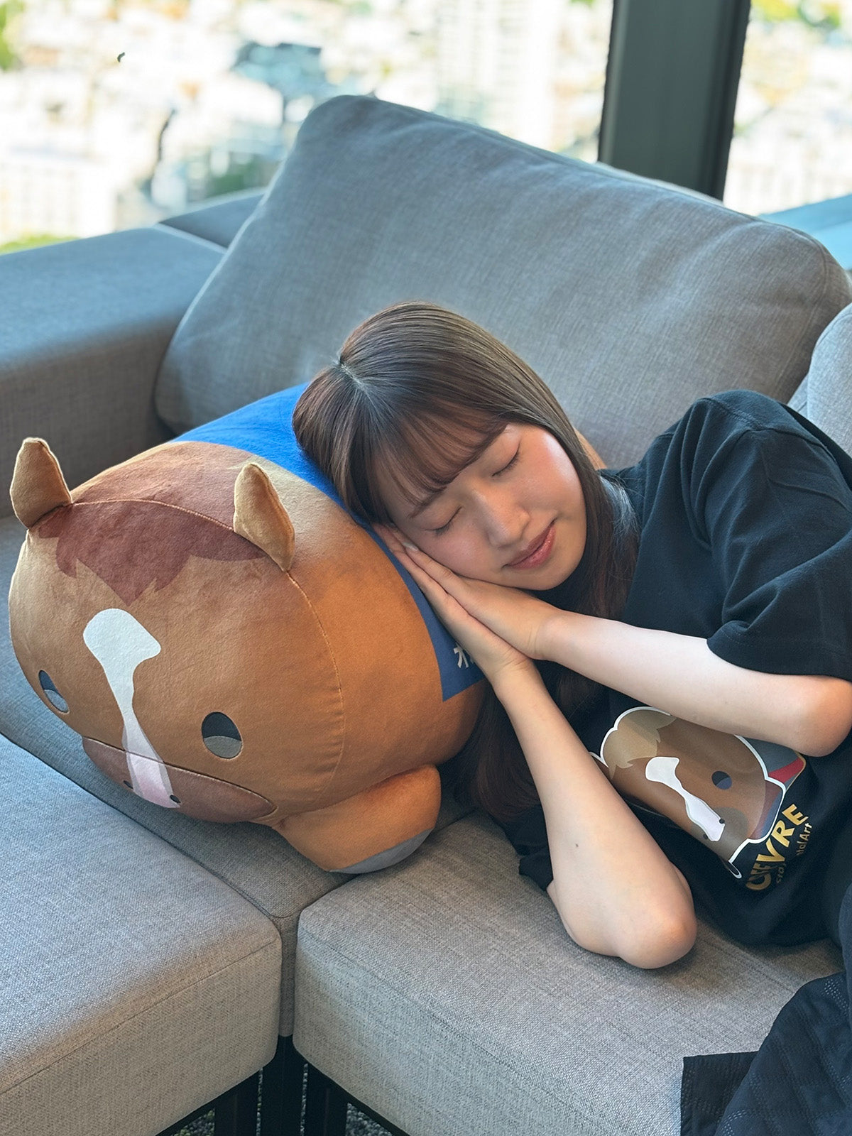 オルフェーヴル･もちもちぬいぐるみクッション