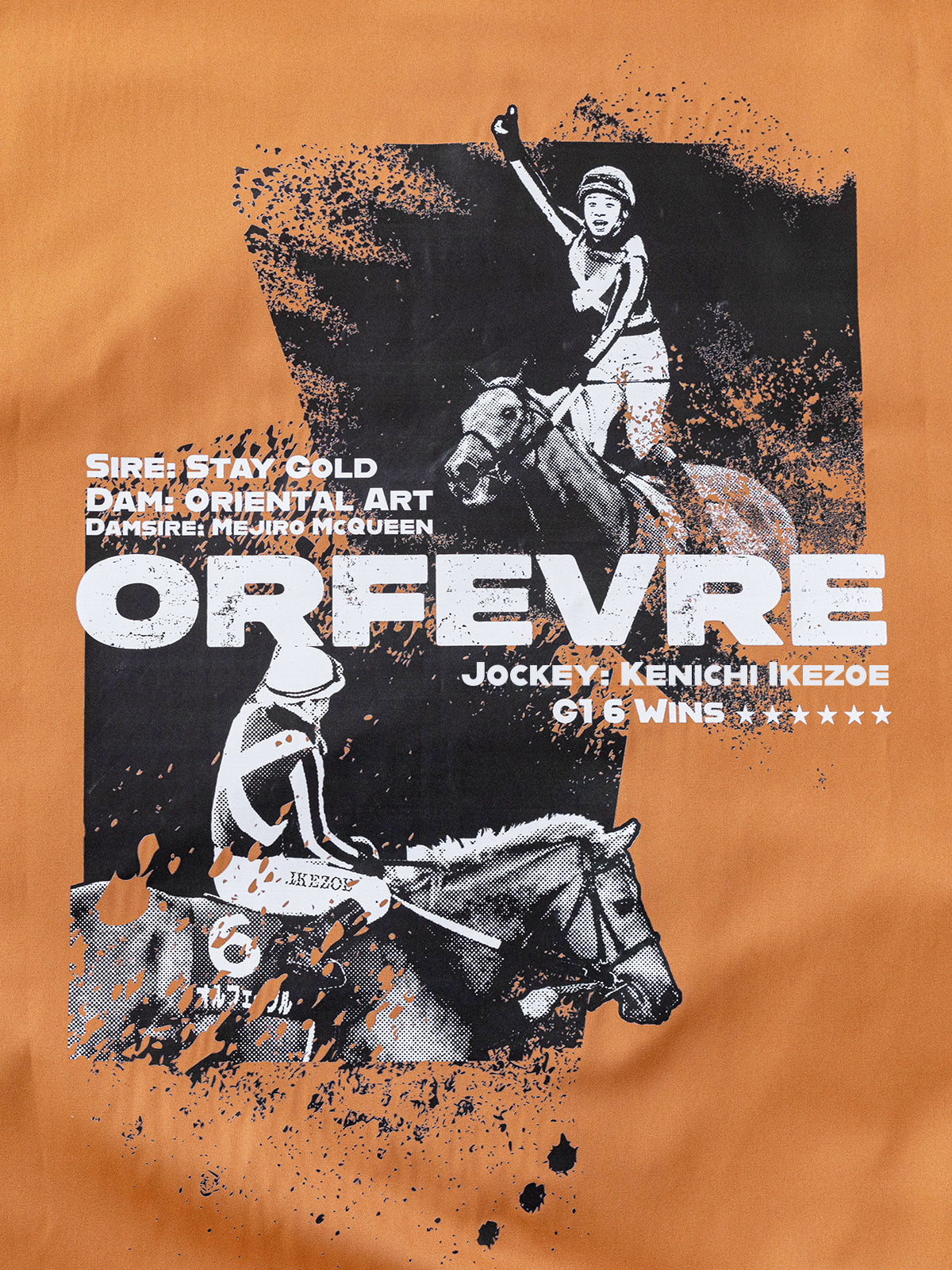 オルフェーヴル･リバーシブルブルゾン