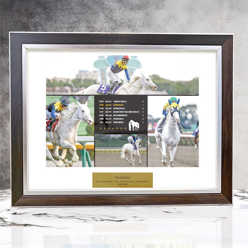 写真パネル｜netkeiba