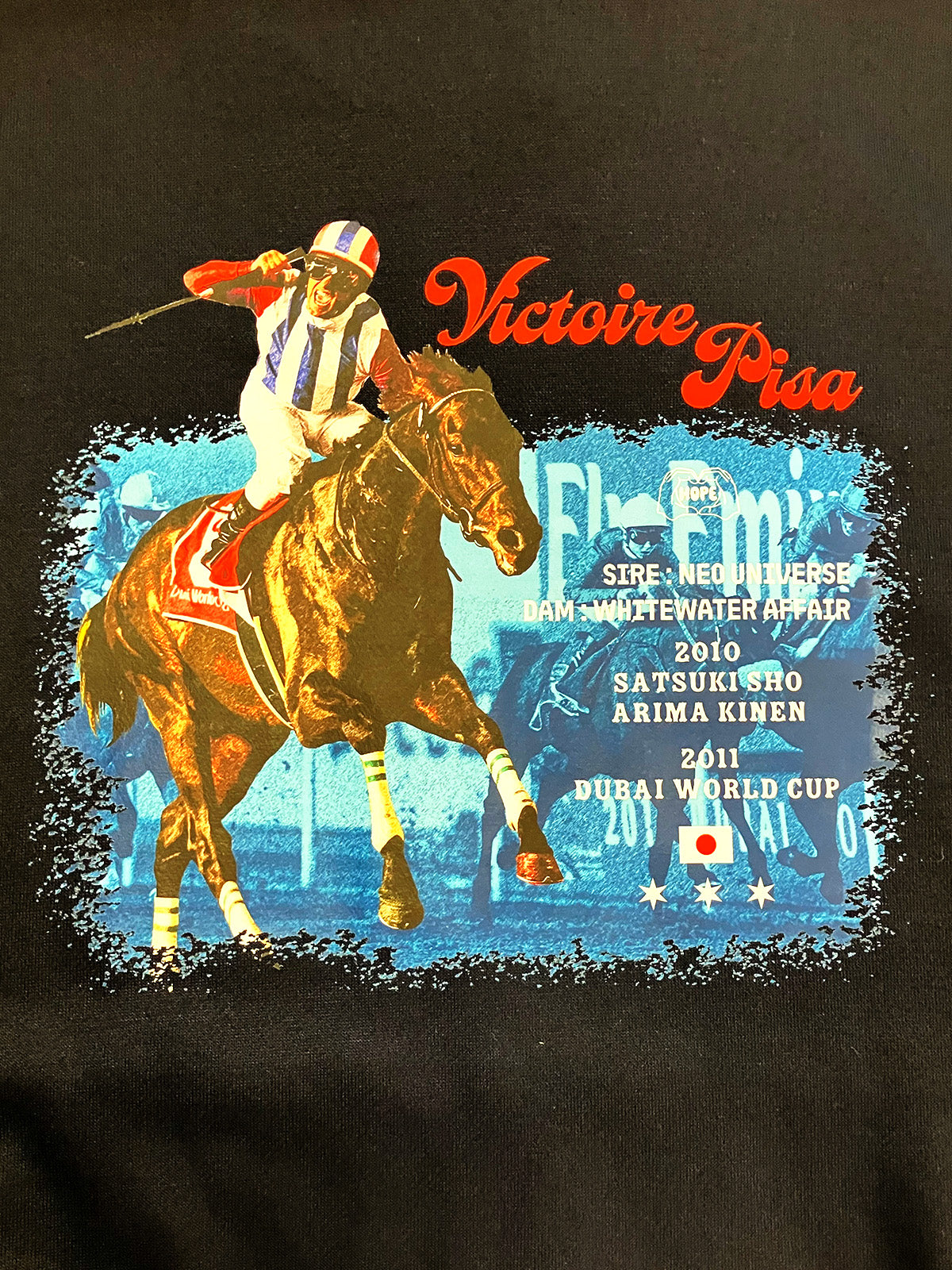 【激レア】るび様パーカー 渋谷店で人気！】ネコ耳スパイクGIRL ピグメントZIPパーカー